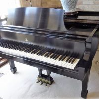 steinway